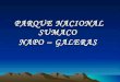 Parque Nacional Sumaco