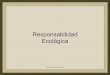 Responsabilidad Ecológica (por: carlitosrangel)