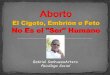 Aborto / Despenalización / Argentina