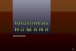 Fotosíntesis Humana (por: carlitosrangel)