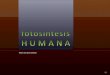 11 fotosíntesis humana [cr]