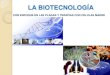 Biotecnología plagas-célulasmadre