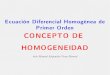 Ecuación diferencial homogénea de primer orden: Concepto de Homogeneidad