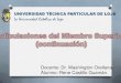 Articulaciones radiocarpiana proximal - interfalangica
