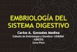Embriología del sistema digestivo Carlos Gonzales UNMSM