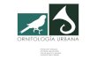 Ornitología Urbana (Proyecto)