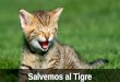 Salvemos al Tigre
