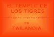 El Templo De Los Tigres