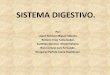 Sistema digestivo Versión 2. MONO Y POLIGASTRICOS