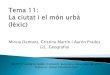 Tema 11. Ciutat i món urbà (lèxic). GEOGRAFIA 2n BATXILLERAT
