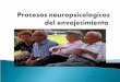 Procesos neuropsicologicos del envejecimiento