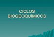 Ciclos biogeoquimicos 1