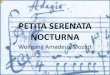 Petita serenata nocturna (W.A.Mozart)