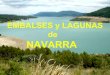 Embalses y lagunas de Navarra