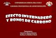 Efecto Invernadero Y Bonos De Carbono