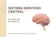 Anatomia Sistema nervioso central