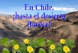 Desierto florido del Chile