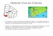 Historia  Viva Es  Colonia
