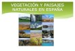 Vegetación y paisajes naturales España