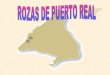 Presentacion De Rozas De Puerto Real