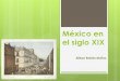 México en el siglo xix