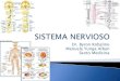 Sistema nervioso124 126