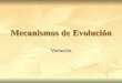 10 Mecanismos De EvolucióN MutacióN 2