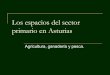 Los espacios del sector primario en asturias
