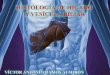 Histología de hígado y vesícula biliar