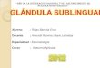 Glandula sublingual enoc