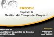 Gestindeltiempodelproyecto pmbook