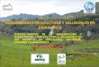 Comunidades Productivas Y Saludables En Cajamarca