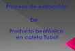 CUMBRE DE NAHUELBUTA - MAR: Teodoro Leal Briones (Tubul)