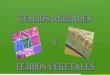 Biologia, tejidos animales y vegetales