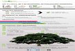 Infografía de técnico en evaluación ambiental instituto superior del medio ambiente