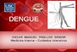 Dengue, guidelines 2013