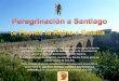 4 etapa: Camino de Santiago (Pte.La Reina A Estella)