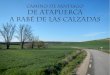 Camino de Santiago. De Atapuerca a Rabé de las Calzadas (33,72 km)