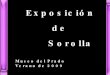 Exposicion de Joaquín Sorolla