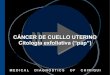 Cáncer de cuello uterino, citología exfoliativa v1.2