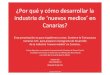 Por que y como desarrollar la industria de 'nuevos medios' (new media) en Canarias - 2010