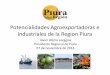 Potencialidades agroexportadoras e industriales de la region piura vf