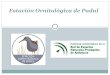 Presentación de la Estación Ornitológica de Padul para el curso
