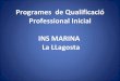 Programes  de qualificació professional inicial