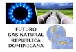 Foro de Energía Limpia - Miguel Guerra, Soluciones en Gas Natural, S.A