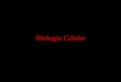 Estructuras celulares biologia celular