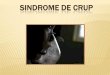 4 a) sindrome de crup