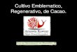 Presentación de Rogelio Simbaña (Ecuador) - Seminario Internacional Pueblos Indígenas