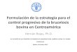 20  formulación de la estrategia para el control progresivo de la brucelosis bovina en centroamérica   hernan rojas