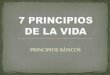 7 principios